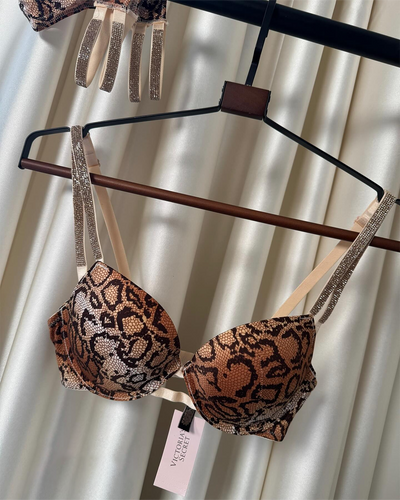 Golden Snake Print Luxury Bra Set - Imported Intimate Wear - BLUSHOVA Pakistan